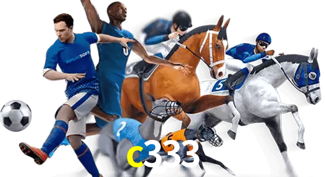 c333