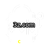  c333